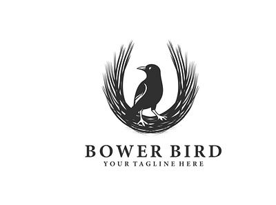 Bower Bird architect bird bowerbird branding business company construction design icon identity illustration logo logos mark vector