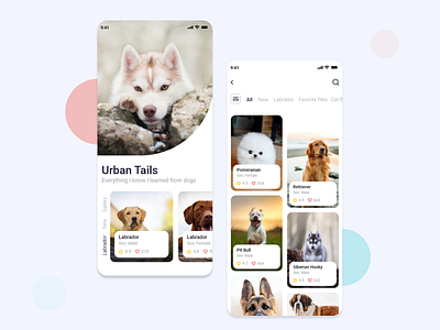Mobile app - Pet Shop activities all app banner design dog dribbble gradient ios latest design light minimalist mobile mobile app pets simple typogaphy ux