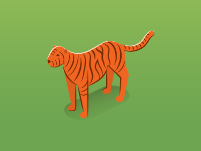 Tiger 3d animals cat editorial guide isometric radio stripes tiger vector wild