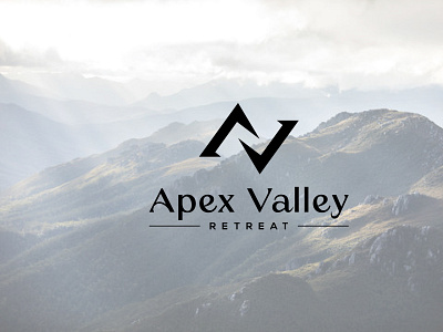 Apex Valley branding corporate logo design financial logo graphic design illustration logo logo design vector