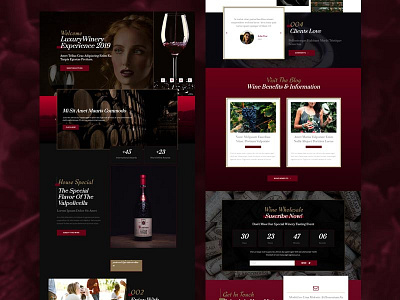 Wine Brand Home template for elementor