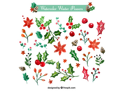 Watercolor Winter Flowers flowers freepik illustration vector watercolor