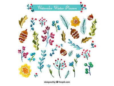 Watercolor Winter Flowers flowers freepik illustration vector watercolor