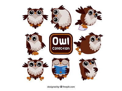 Owl Character design flat freepik illustration owl vector