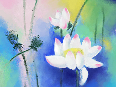 Lotus digital painting drawing flower lotus oil painting