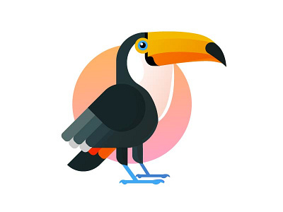 Toucan do it by Lyndsay Wasko on Dribbble