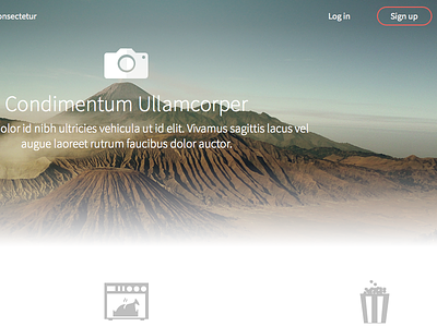 Freelance Photographers' Platform app flat homepage landing page photo web app website white