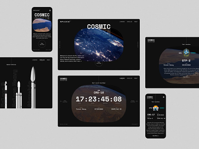 SpaceX Cosmic Surfin - 02 concept design design graphic design typography ui ui ux ui design user interface design visual design web design website website concept website design
