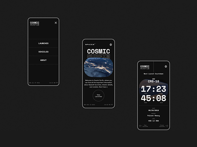 SpaceX Cosmic Surfin - 03 graphic design space spacex typography ui ui design uiux universe user interface user interface design visual design web design website website concept website design