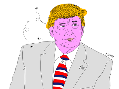 AP!G3 illustration pop trump usa