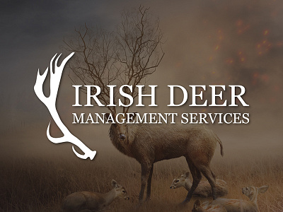 Irish Deer Management Services Logo branding deer identity irish logo logotype wordmark