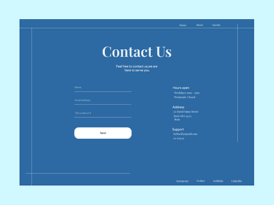 Contact Us Page (Daily Ui 028) app design illustration typography ui ux