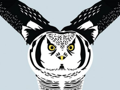 Owl bird illustration. owl sketch