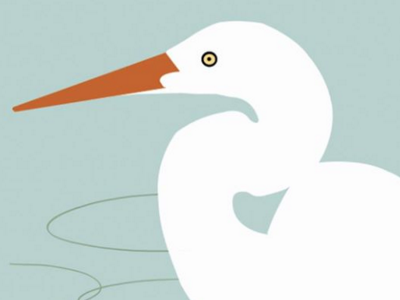 Egret bird egret film illustration sweden