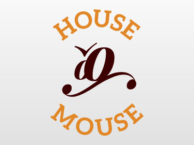 House Mouse aleo fun playfair display swash type typography