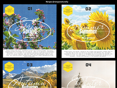 The Four Seasons design graphic design poster