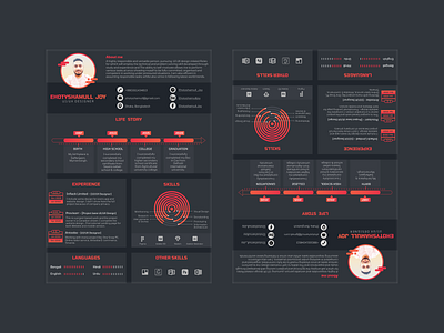 Ui/Ux Designer CV