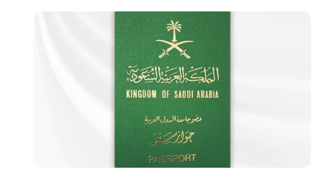 Your Passport To Saudi Arabia By Sunny Sunny On Dribbble   Original 494e70758d7681ceaa740ab11245d638 