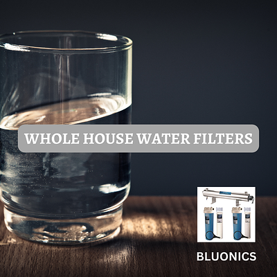 Revitalize Your Water Quality with Bluonics Commercial Water Fil