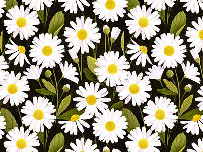 Daisy Floral Pattern Wallpaper
