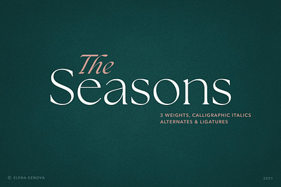 The Seasons Serif Font Family aesthetic alternates beautiful boutique calligraphy chic classic classy clean contemporary corporate deco elegant expensive family fashion feminine french