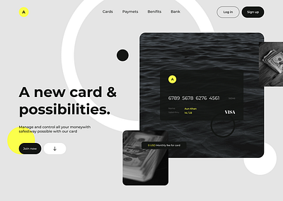 Credit Cards Web Design cards cash debitcard design finance money photooftheday ui uiesign uiuxdesign ux viral webdesign