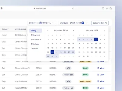 VeteraSky - Calendar Component 🗓️🐾 berlin calendar clinic components customisation date picker design system filter management oslo pet product design saas schedule table ui ux veterinarian