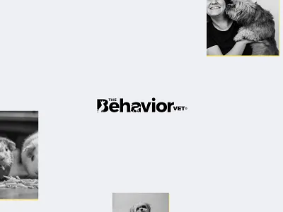 The Behavior Vet - Web design & Implementation appointment behavior black and white clean clean design doctor landing page minimalist modern upbeat vet