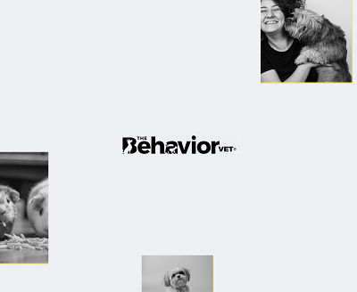 The Behavior Vet - Web design & Implementation appointment behavior black and white clean clean design doctor landing page minimalist modern upbeat vet
