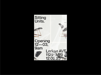 SITTING UNITS — 002 branding creative direction design graphic design illustration mockup poster