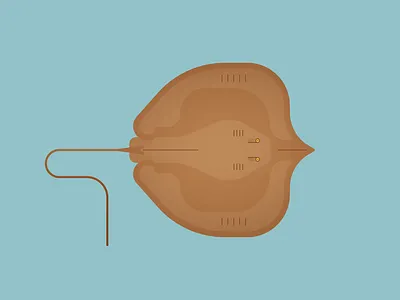 Giant Fresh Water Ray fish graphic design illustration marinelife ocean