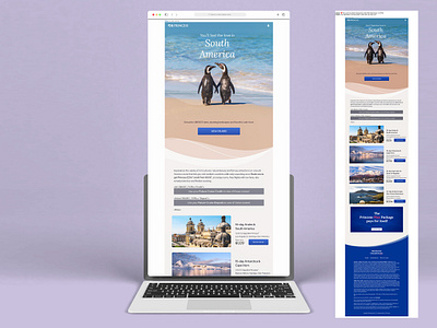 Email Design branding design email graphic design html