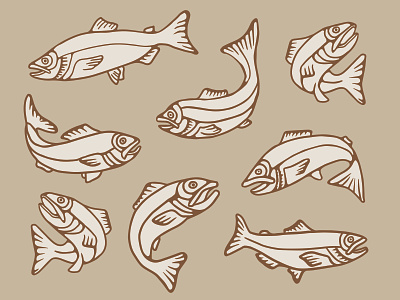 Swimming Salmon alaska branding fish fishing graphic design graphics hand drawn illustration logo salmon shirt swag tshirt