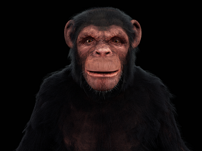 chimpanzee sculpting 3d maya substance painter xgen