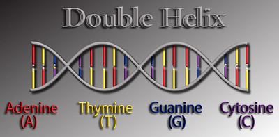 Double Helix \DNA animation biomedical biotechnology chemical bounds dna double helix illustration molecular