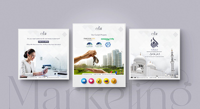 Real Estate Marketing ( Rise Marketing ) branding design graphic design