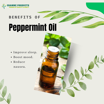 Peppermint Oil A Versatile Ingredient for Health and Wellness animation oil peppermint oil relaxing experience