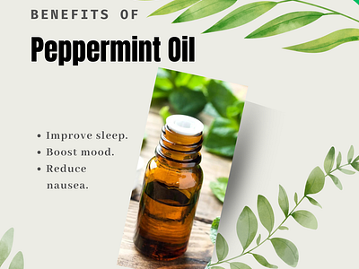 Peppermint Oil A Versatile Ingredient for Health and Wellness animation oil peppermint oil relaxing experience