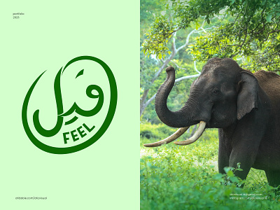 FEEL (Arabic for elephant) animal elephant feel gajah