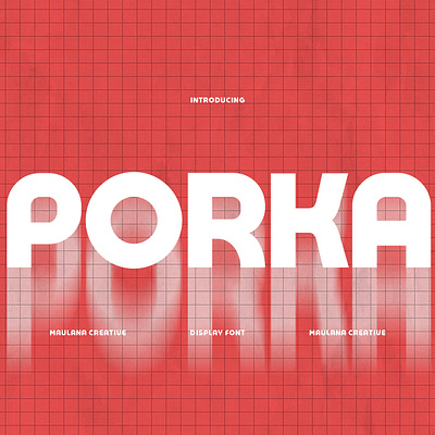 Porka Sans Display Font branding font fonts graphic design