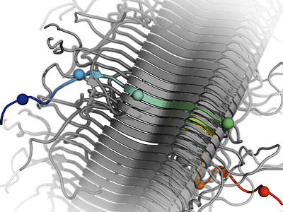 Disease Related Fibril graphic design science