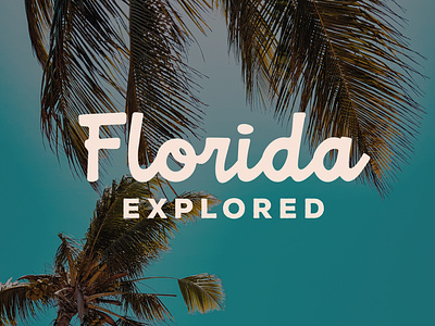 Florida Explored: Branding brand identity branding design type exploring florida graphic design logo logo designer logotype palm tree