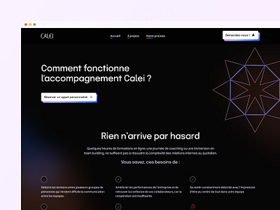 Calei - Website branding design graphic design illustration logo ui ux webdesign webflow website