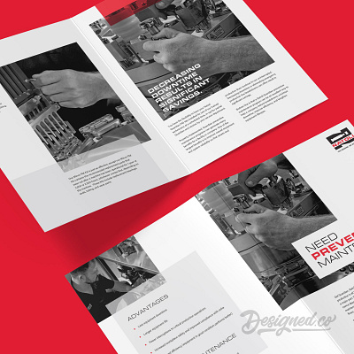 Natoli - Sales Brochure Design print design