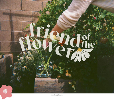 Friend of the Flower | Branding branding design logo