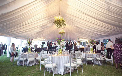 Elegant Wedding Tent Rentals 3d animation app branding design graphic design illustration logo ui vector