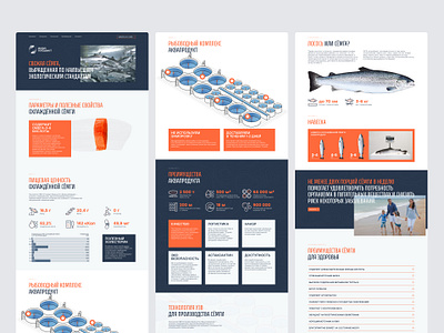 Aquaproduct's Website: Navigating B2B and B2C Excellence 🍣 b2b b2c branding corporate website design desktop fish fish website illustration landing page salmon seafood tilda ui ux ui web design web development web site webdesign website