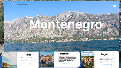 Website design for a tourism company 3d animation branding graphic design logo motion graphics ui