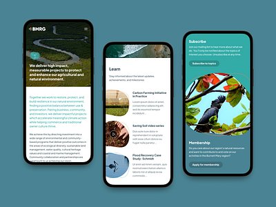 BMRG 2 australia ecology environmental non profit responsive ui ux web