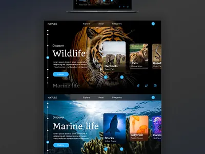 Wildlife Web Ui Design app branding design graphic design illustration logo typography ui ux vector